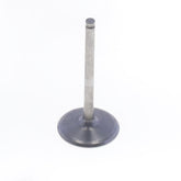 Intake Valve-0