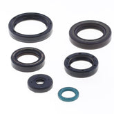 Engine Oil Seals Kit-0