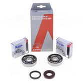 Crankshaft Rebuilding Kit: Bearing and Oil Seal Kit-0