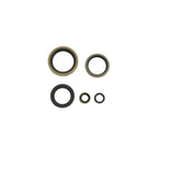Engine Oil Seals Kit-0