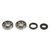 Crankshaft Rebuilding Kit: Bearing and Oil Seal Kit-0