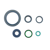 Engine Oil Seals Kit-0
