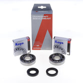 Crankshaft Rebuilding Kit: Bearing and Oil Seal Kit-0