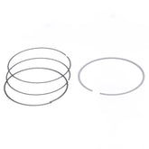 Ring Set Ø 98 mm for Athena Piston-0
