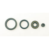 Engine Oil Seals Kit-0