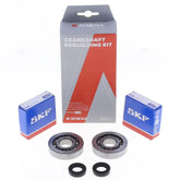 Crankshaft Rebuilding Kit: Bearing and Oil Seal Kit-0