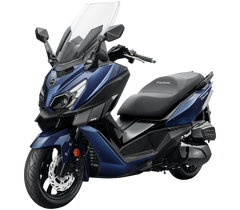 CRUISYM 300