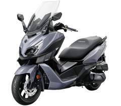 CRUISYM 300