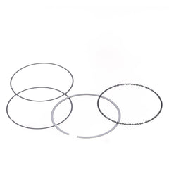 Ring Set Ø 95 mm for Athena Piston-0