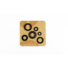 Engine Oil Seals Kit-1
