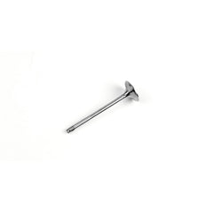 Exhaust Valve-1
