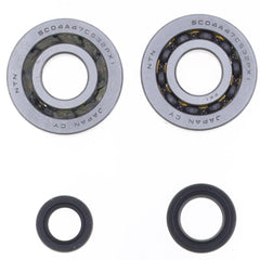 Crankshaft Rebuilding Kit: Bearing and Oil Seal Kit-2