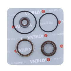 Crankshaft Oil Seals Kit-1