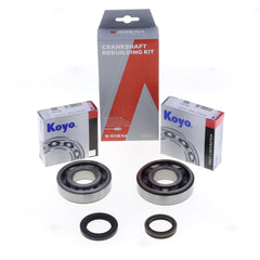Crankshaft Rebuilding Kit: Bearing and Oil Seal Kit-0