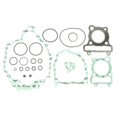 Complete Gasket Kit (oil seals not included)-0