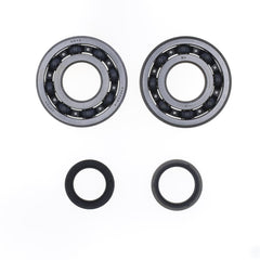 Crankshaft Rebuilding Kit: Bearing and Oil Seal Kit-1