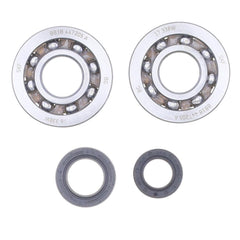 Crankshaft Rebuilding Kit: Bearing and Oil Seal Kit-2