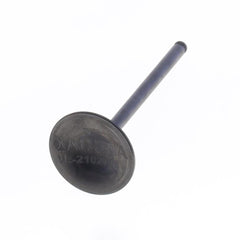 Exhaust Valve-0