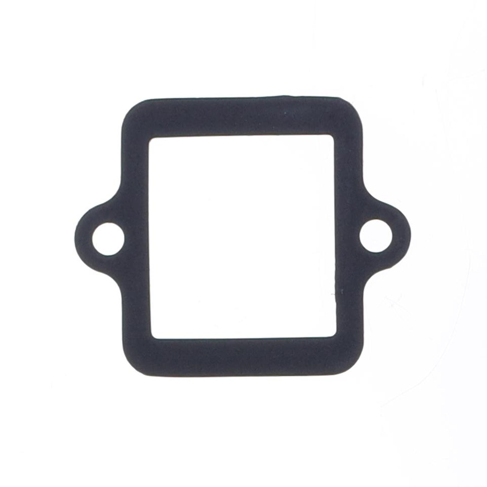 Intake Gasket-0