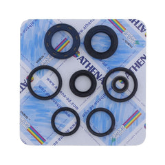Engine Oil Seals Kit-1