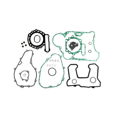 Complete Gasket Kit (oil seals not included)-0
