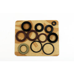 Engine Oil Seals Kit-1