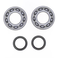 Crankshaft Rebuilding Kit: Bearing and Oil Seal Kit-1