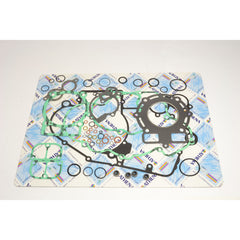 Complete Gasket Kit (oil seals not included)-1
