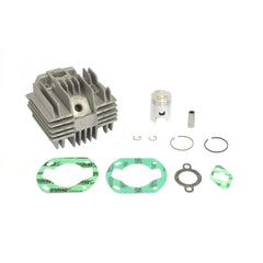 Standard Bore Cylinder Kit Ø 38 mm, 47 cc, Without Mainfolds-1
