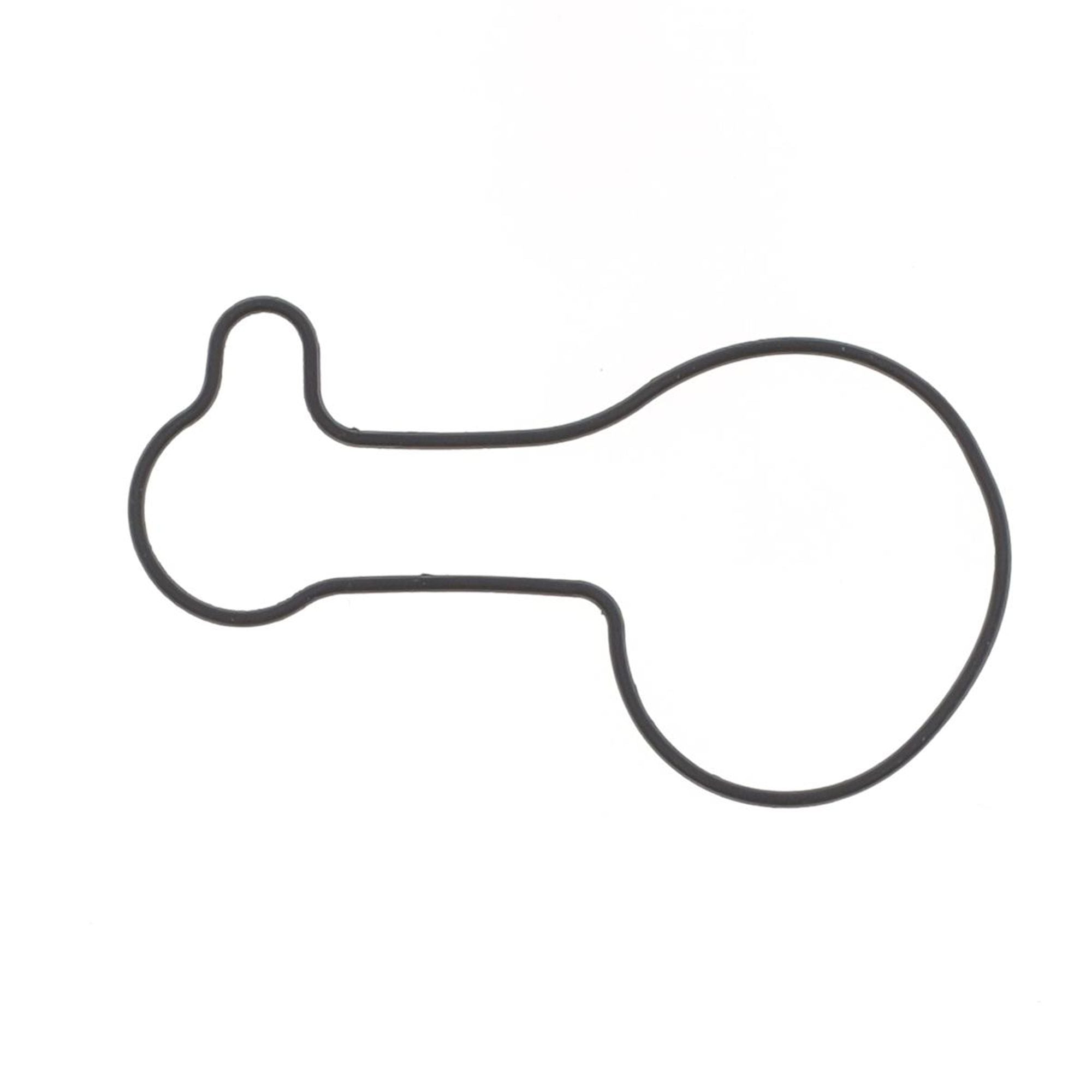 Water Pump Gasket-0