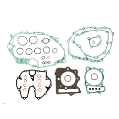 Complete Gasket Kit (oil seals not included)-0