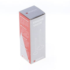 Intake Valve-2