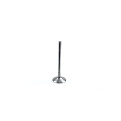 Steel Exhaust Valve-0