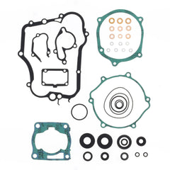 Complete Gasket Kit (oil seals included)-0