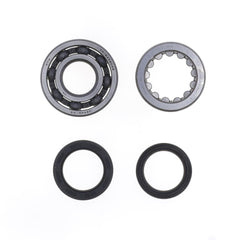 Crankshaft Rebuilding Kit: Bearing and Oil Seal Kit-1