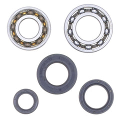 Crankshaft Rebuilding Kit: Bearing and Oil Seal Kit-2