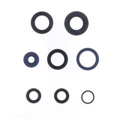 Engine Oil Seals Kit-0