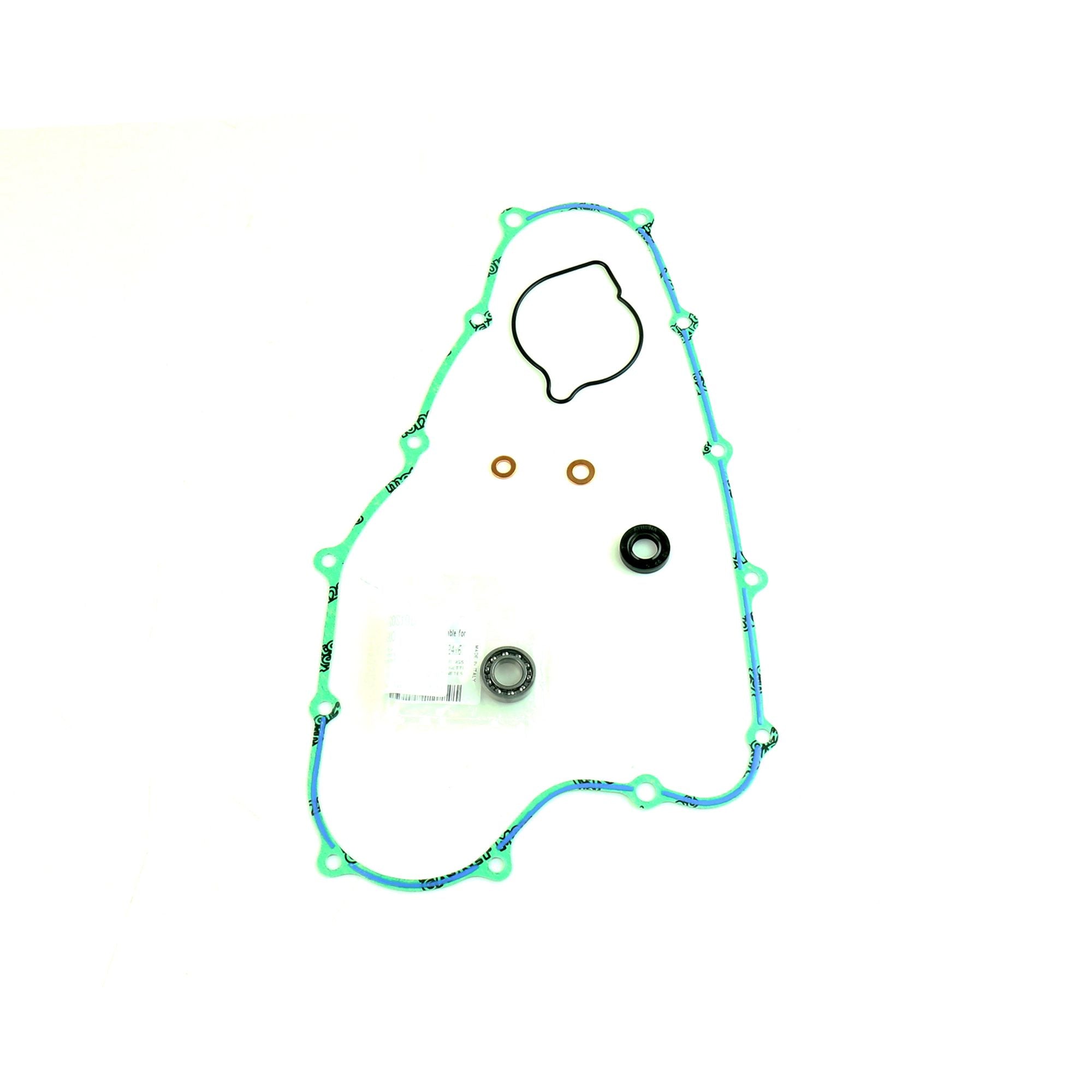 Water Pump Gasket Kit-0