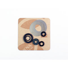 Engine Oil Seals Kit-1