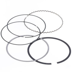 Ring Set Ø 101 mm for Athena Piston-1