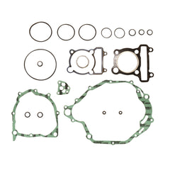 Complete Gasket Kit (oil seals not included)-0