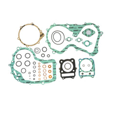Complete Gasket Kit (oil seals not included)-0