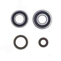 Crankshaft Rebuilding Kit: Bearing and Oil Seal Kit-1