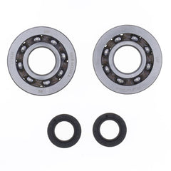 Crankshaft Rebuilding Kit: Bearing and Oil Seal Kit-1