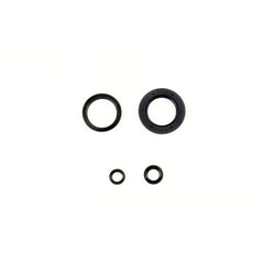 Engine Oil Seals Kit-0