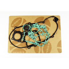 Complete Gasket Kit (oil seals not included)-1