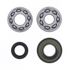 Crankshaft Rebuilding Kit: Bearing and Oil Seal Kit-1