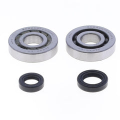 Crankshaft Rebuilding Kit: Bearing and Oil Seal Kit-1