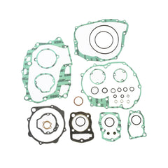 Complete Gasket Kit (oil seals not included)-0