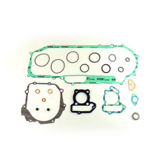 Complete Gasket Kit (oil seals not included)-0